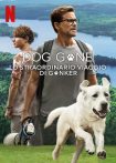 دانلود فیلم Dog Gone 2023 با دوبله اختصاصی دانلود فیلم Dog Gone 2023 با دوبله اختصاصی