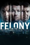 دانلود دوبله فارسی فیلم Felony 2013 دانلود دوبله فارسی فیلم Felony 2013