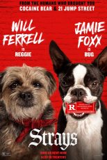 دانلود فیلم Strays 2023 با زیرنویس چسبیده